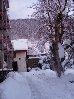 Winter 2005/06